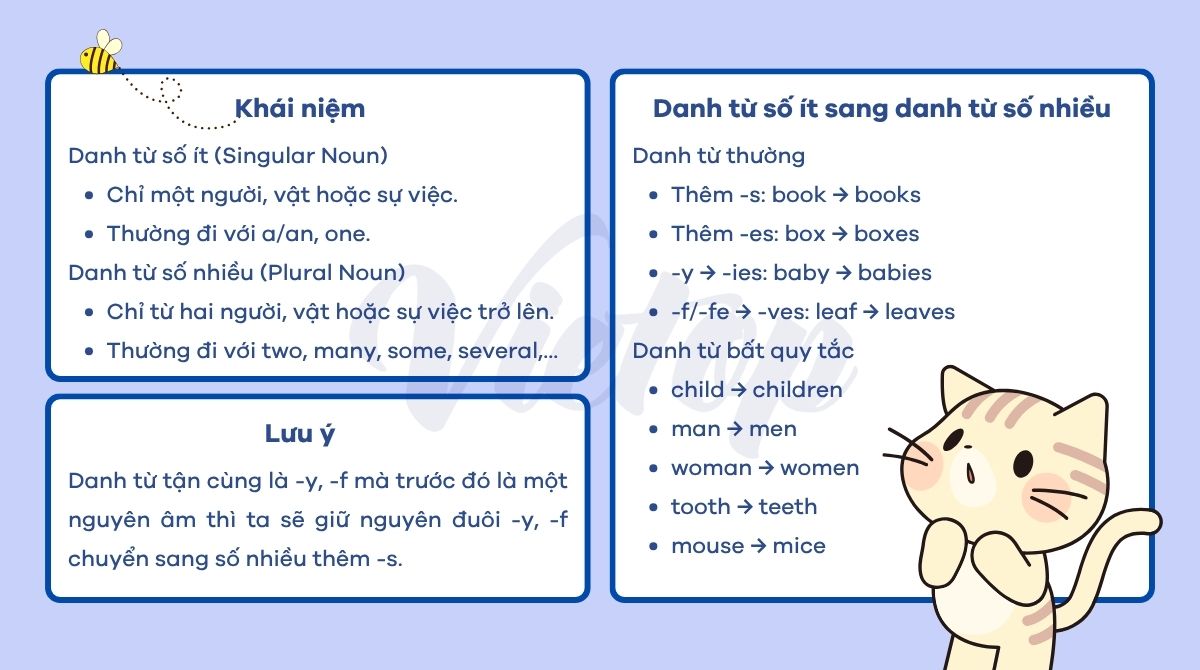 Ôn tập lý thuyết danh từ số ít và danh từ số nhiều
