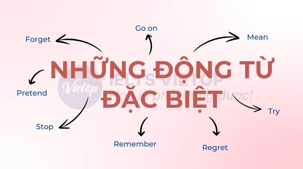 Những động từ đặc biệt