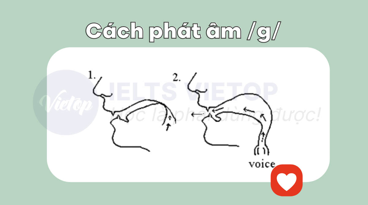 Cách phát âm g 