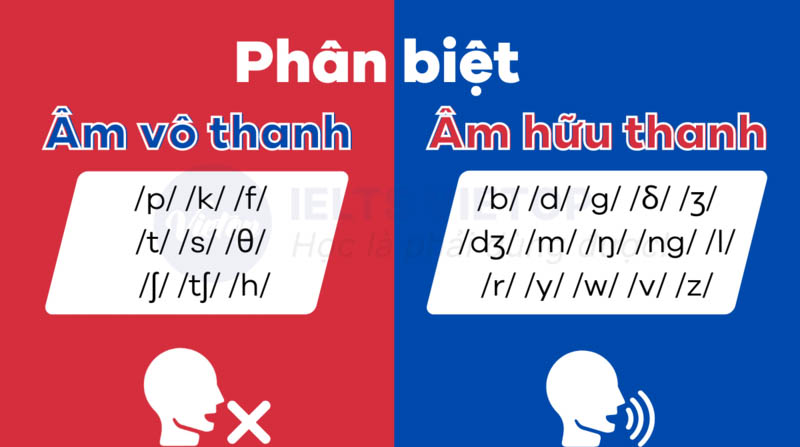 Phân biệt âm vô thanh và hữu thanh