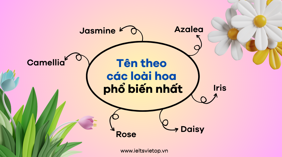 Tên các loài hoa bằng tiếng Anh