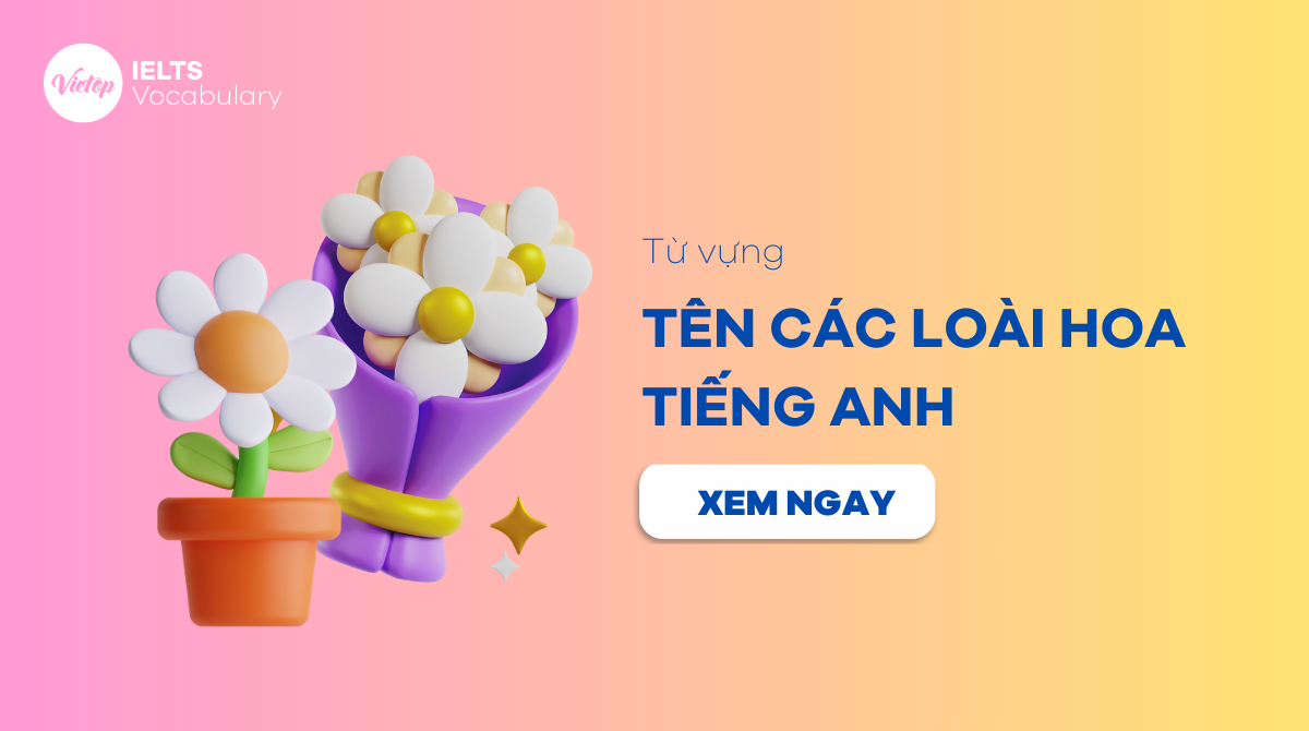 Tên các loài hoa bằng tiếng Anh