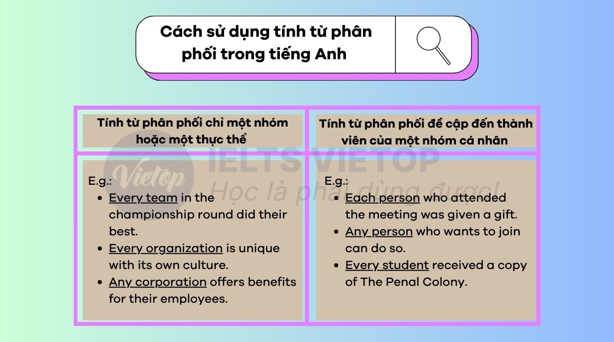 Cách sử dụng tính từ phân phối trong tiếng Anh 