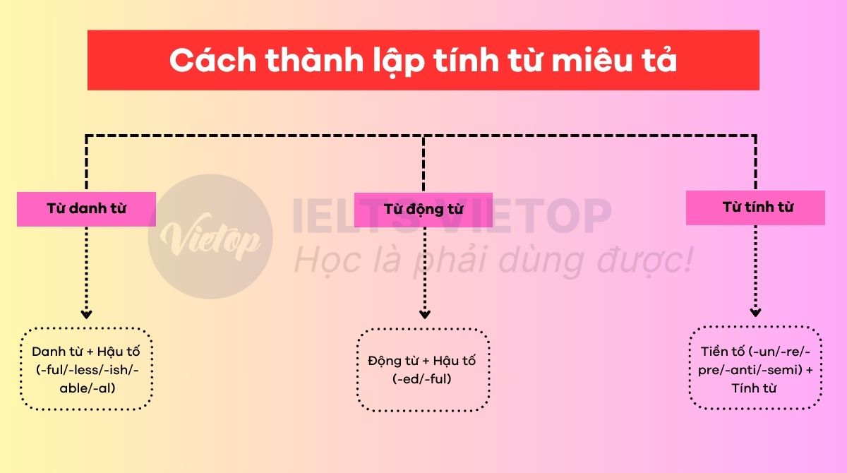 Cách thành lập tính từ miêu tả