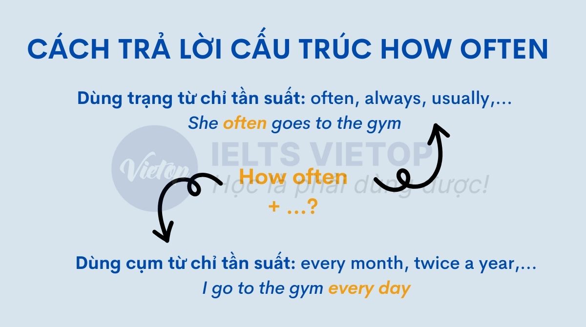 Cách trả lời câu hỏi how often