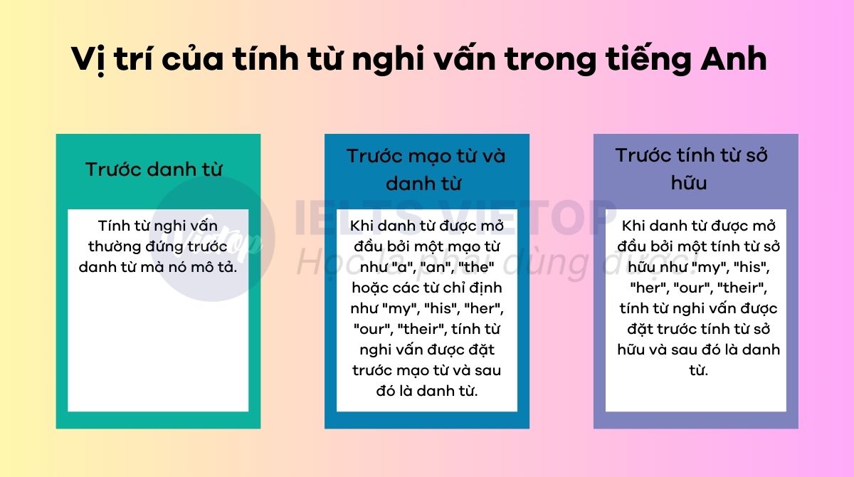 Vị trí của tính từ nghi vấn trong câu 