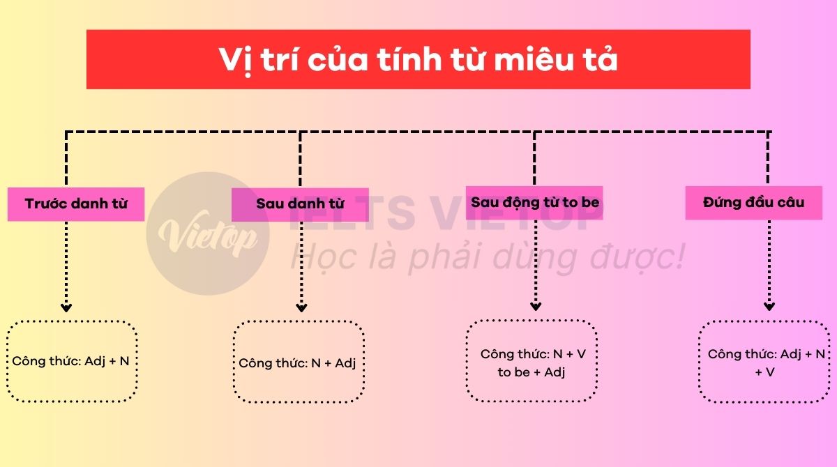 Vị trí tính từ miêu tả trong câu