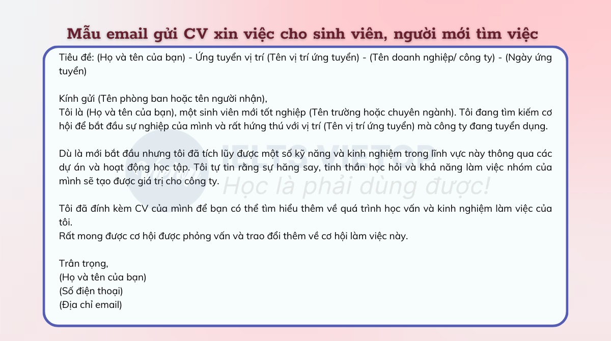 Mẫu email gửi CV xin việc cho sinh viên, người mới tìm việc