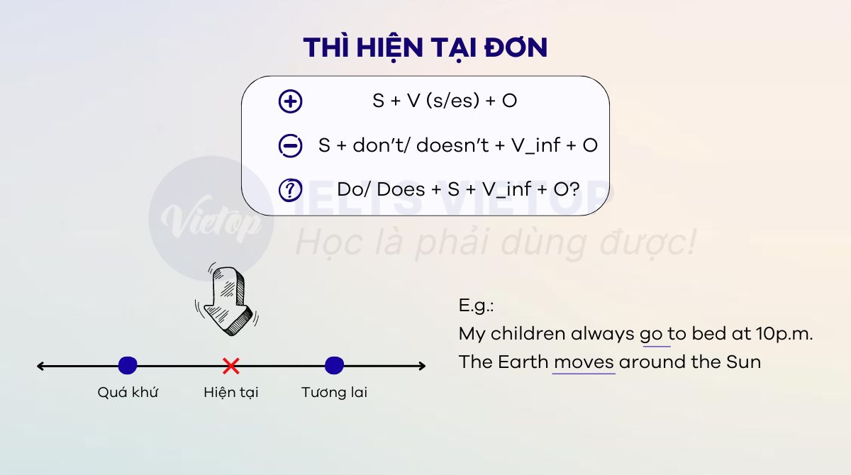 Thì hiện tại đơn là gì