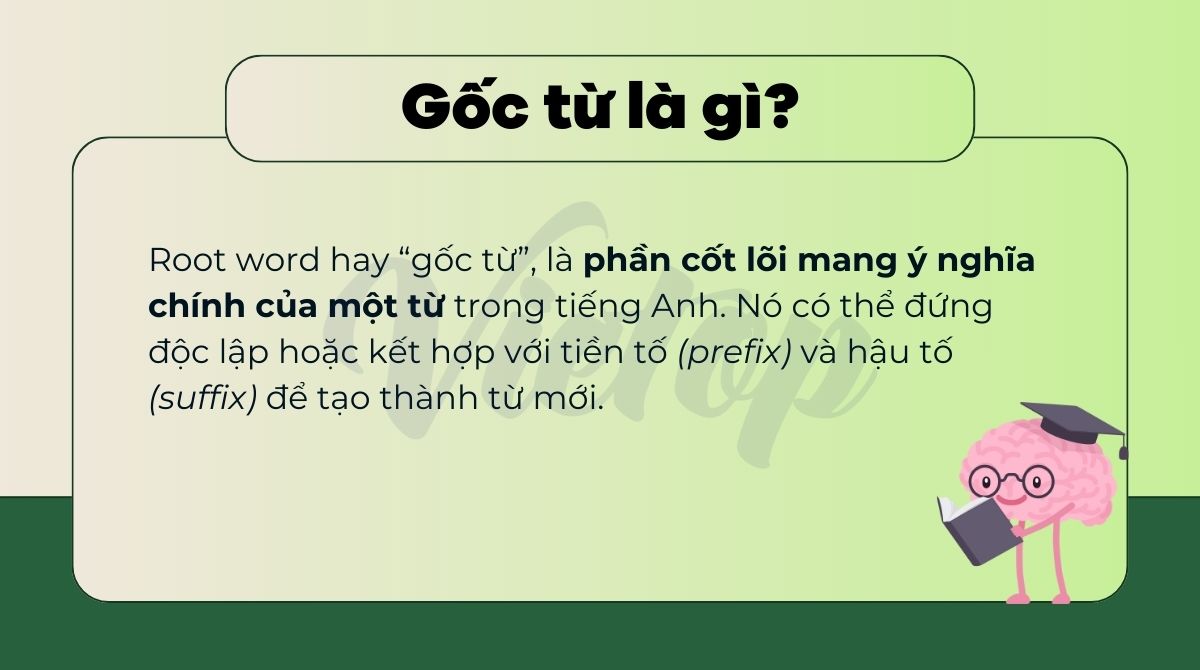 Gốc từ là gì?