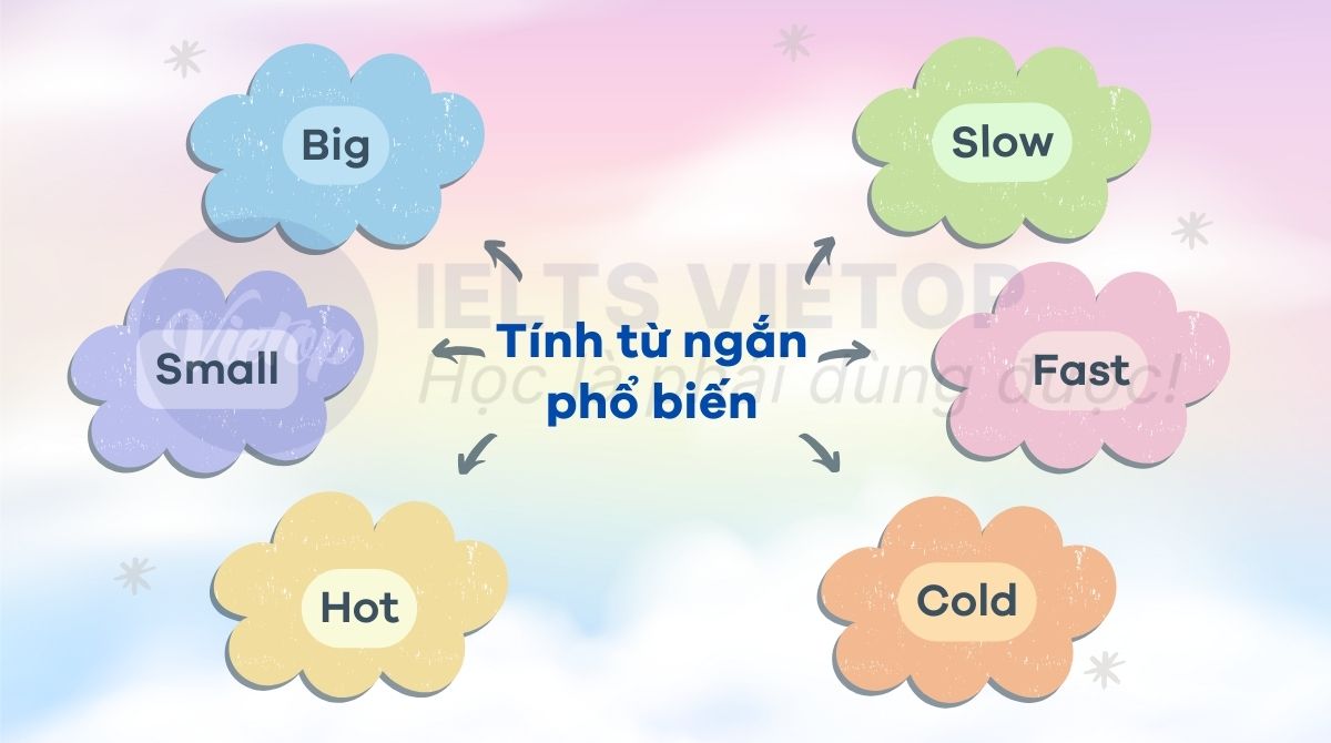 Một số tính từ ngắn phổ biến trong tiếng Anh