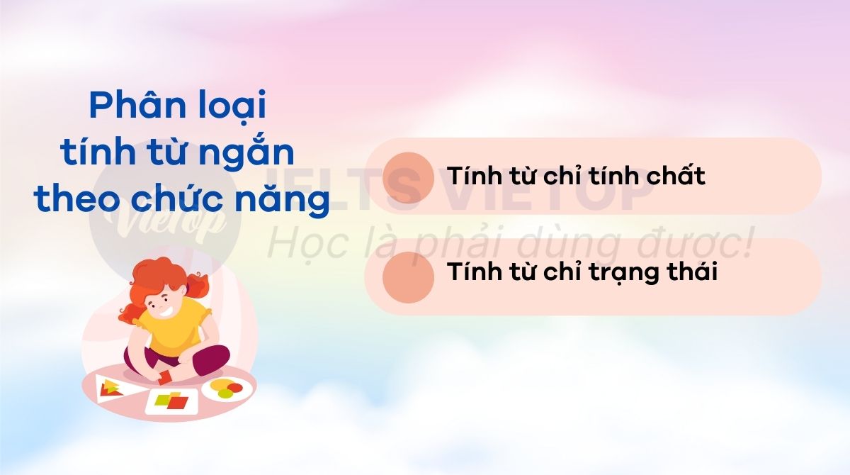 Phân loại tính từ ngắn theo chức năng