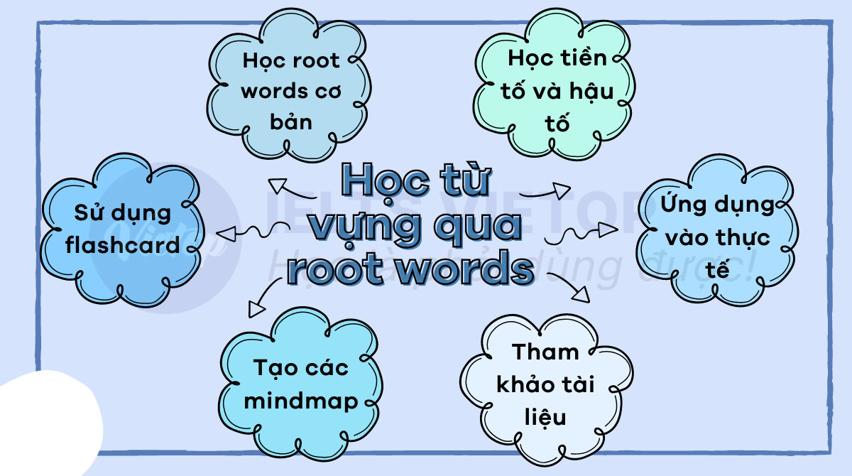 Gốc từ là gì