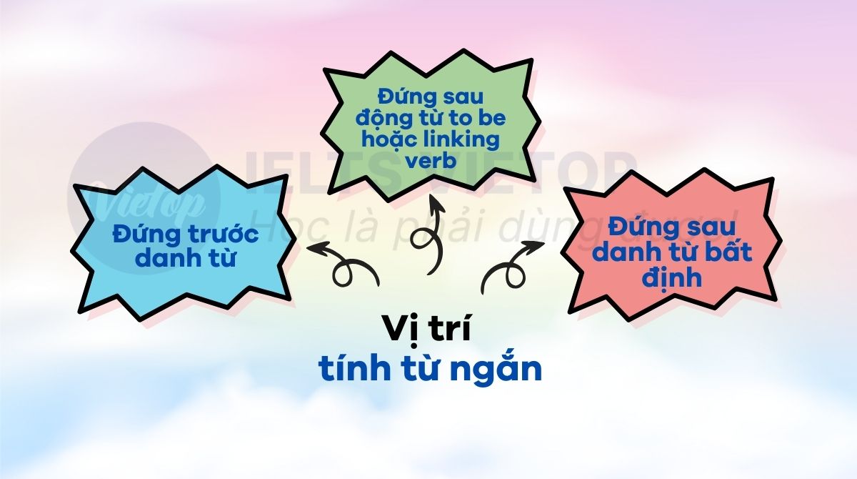 Vị trí của tính từ ngắn trong câu