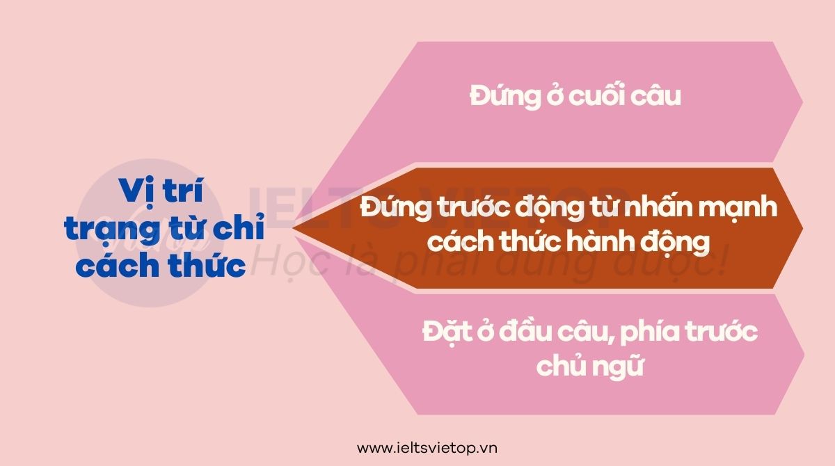 Vị trí của trạng từ chỉ cách thức trong câu