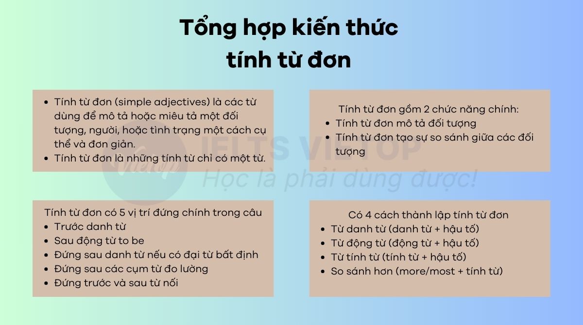 Bài tập tính từ đơn