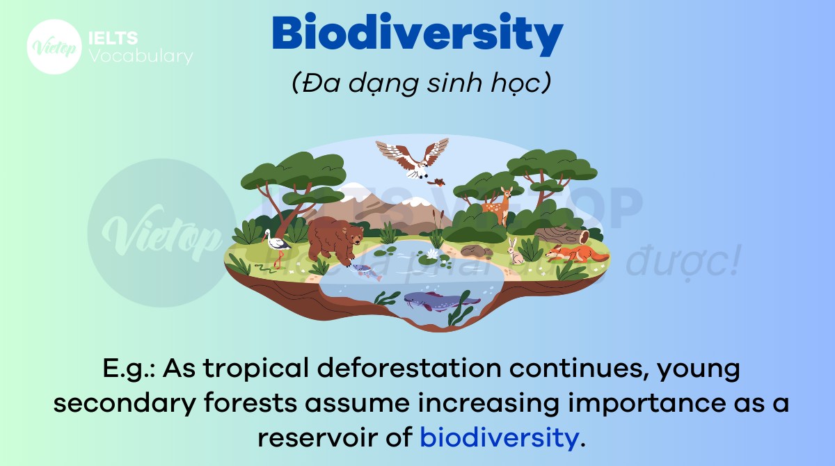 Unit 10: Endangered species