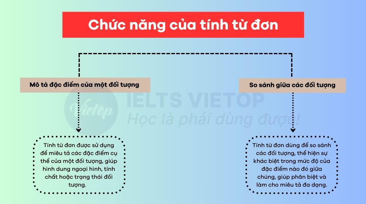 Chức năng của tính từ đơn