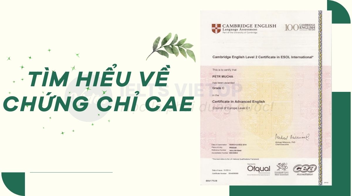 Chứng chỉ CAE là gì