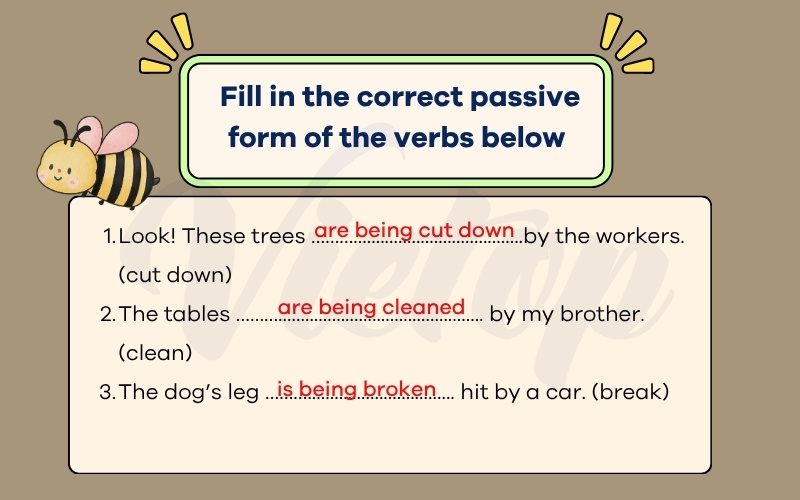 Fill in the correct passive form of the verbs below