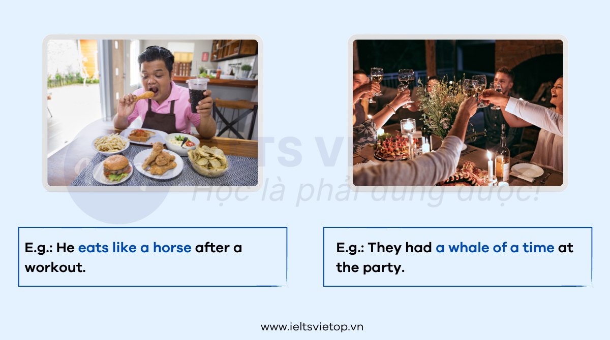 Idioms chủ đề Animal