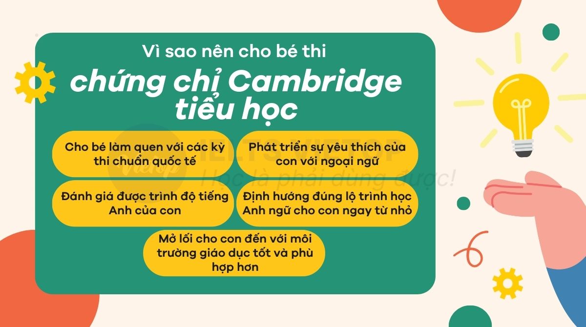 Lợi ích khi sở hữu chứng chỉ Cambridge tiểu học