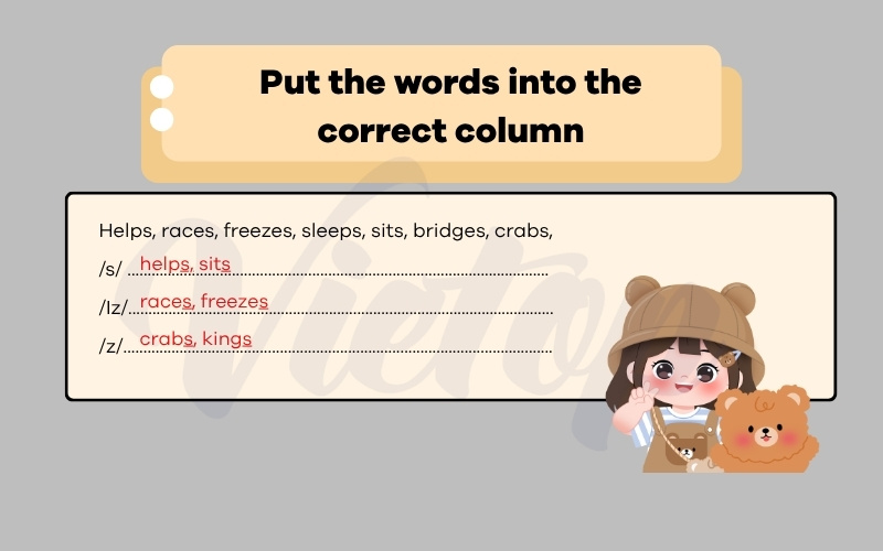 Put the words into the correct column