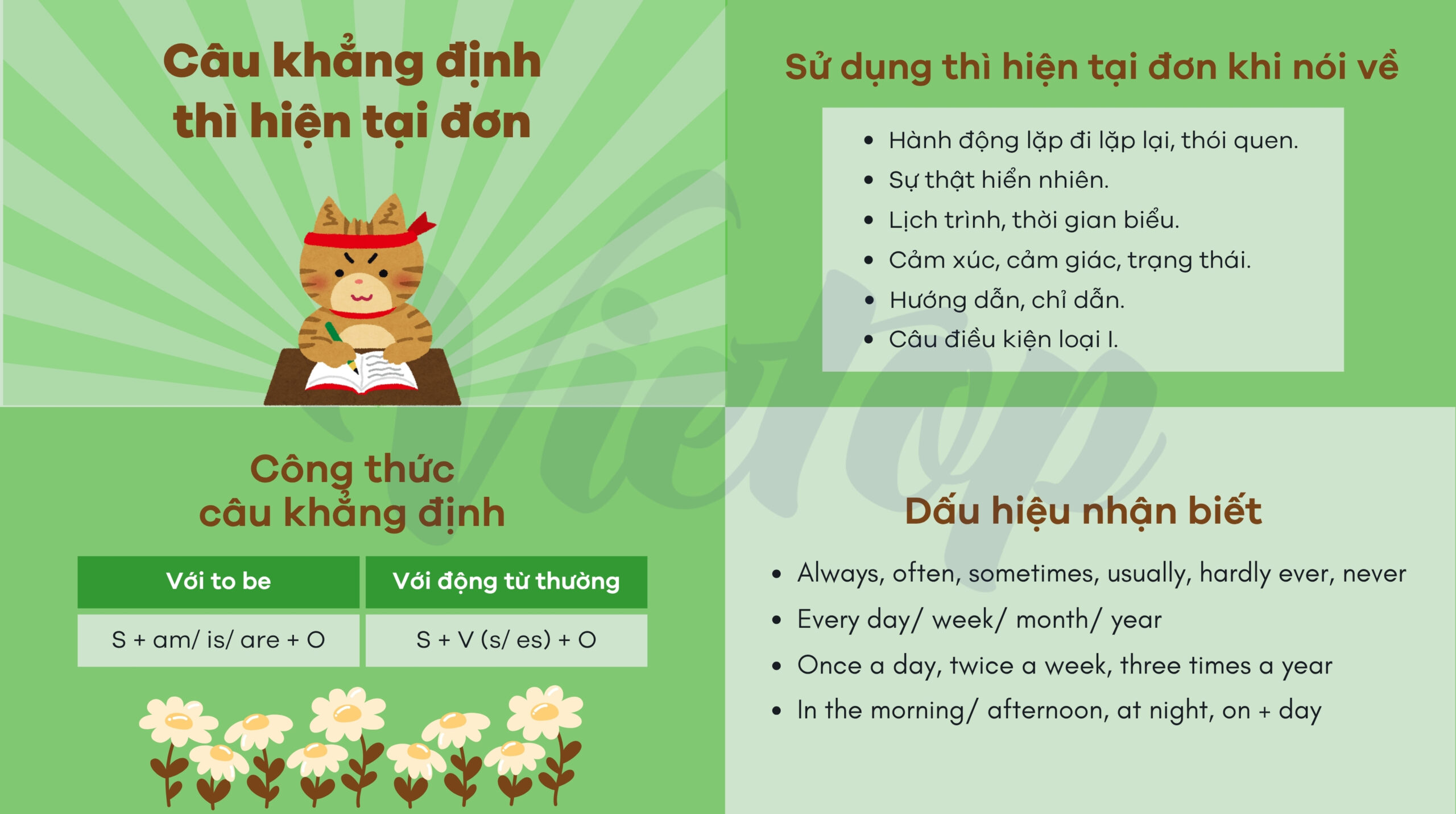 Câu khẳng định của thì hiện tại đơn