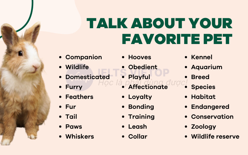 Từ vựng cho chủ đề talk about your favorite pet