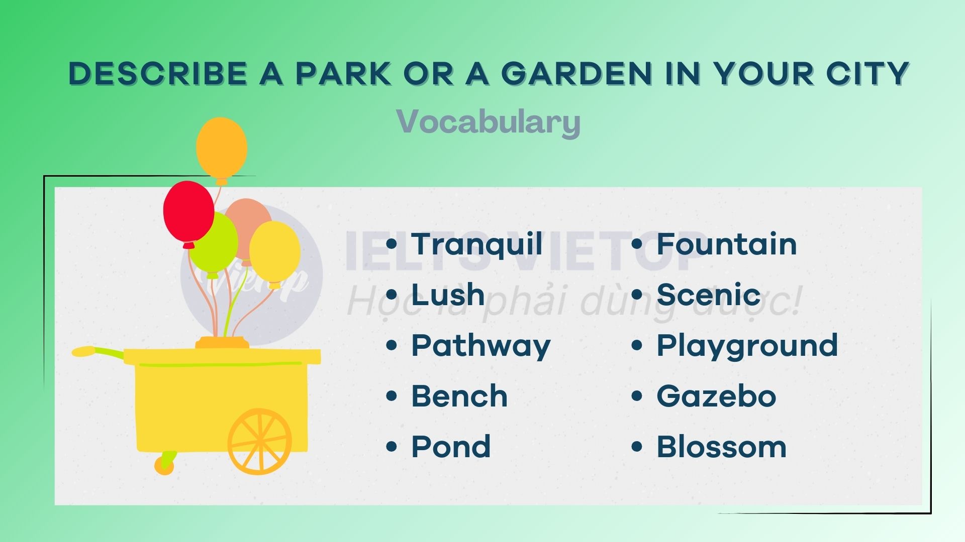 Từ vựng describe a park or a garden in your city