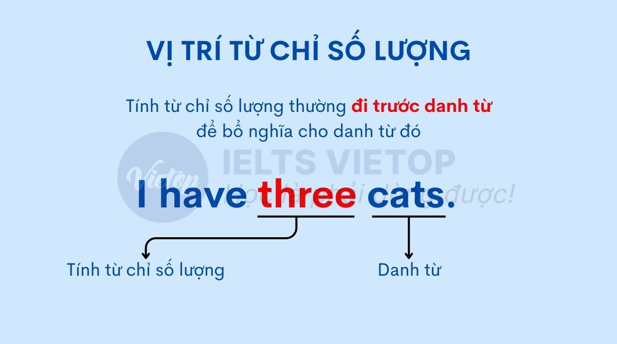 Vị trí tính từ chỉ số lượng