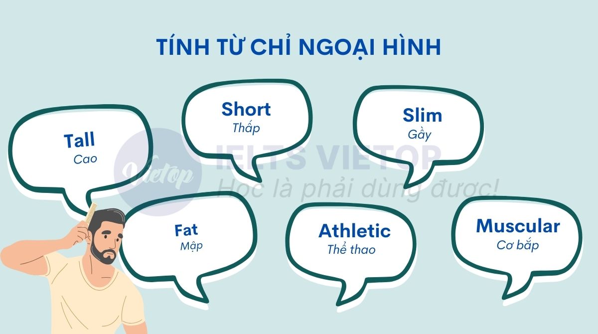 Tính từ miêu tả ngoại hình 