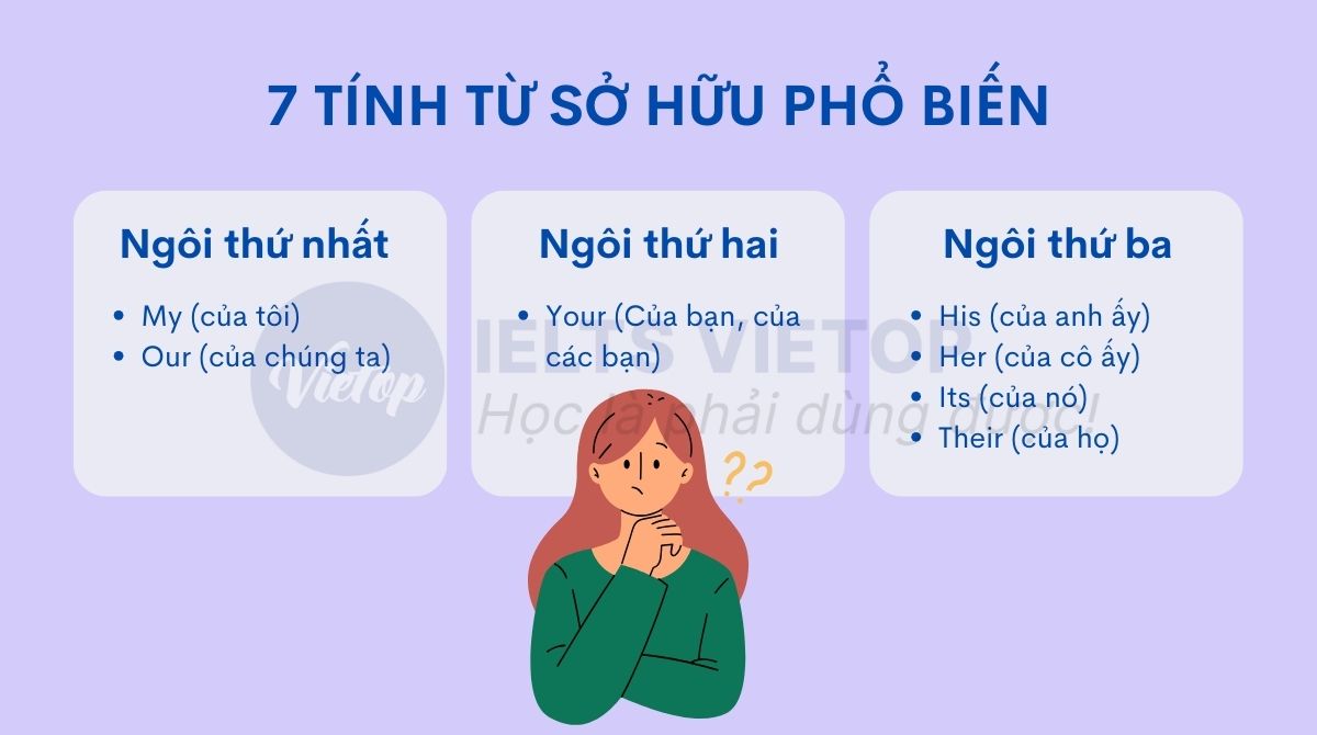 Tính từ sở hữu phổ biến