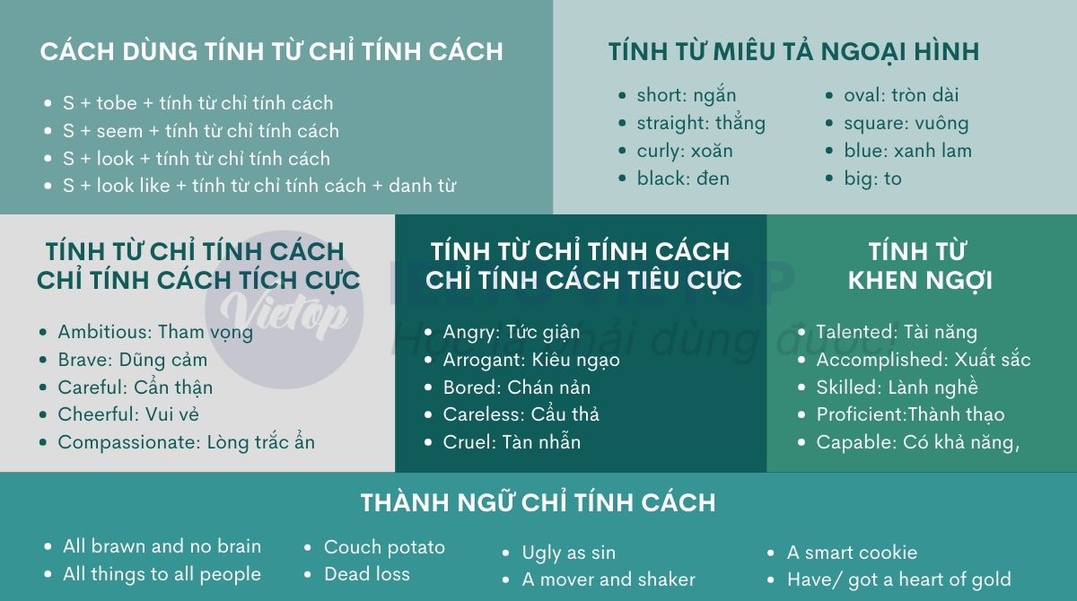 Tổng hợp kiến thức