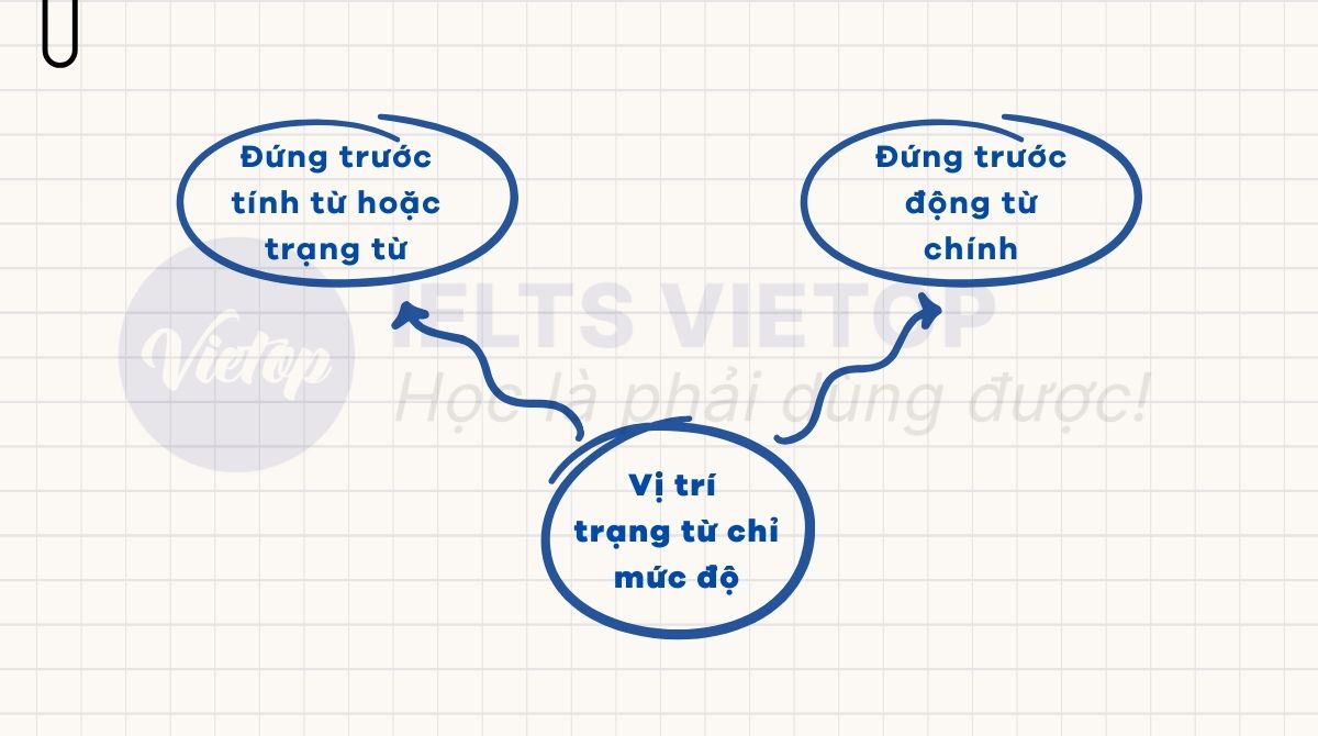 Vị trí của trạng từ chỉ mức độ trong câu