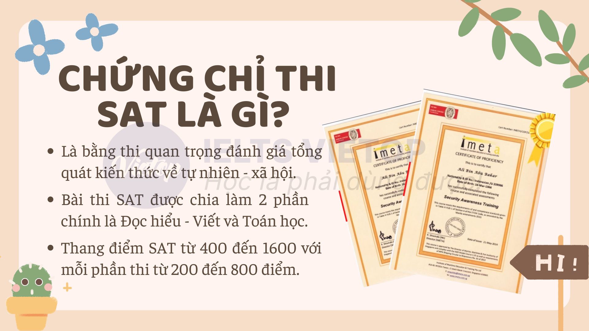 Các thông tin thú vị về kỳ thi SAT là gì? 