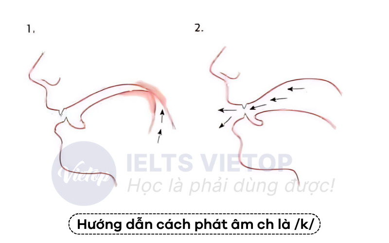 Cách phát âm ch là /k/