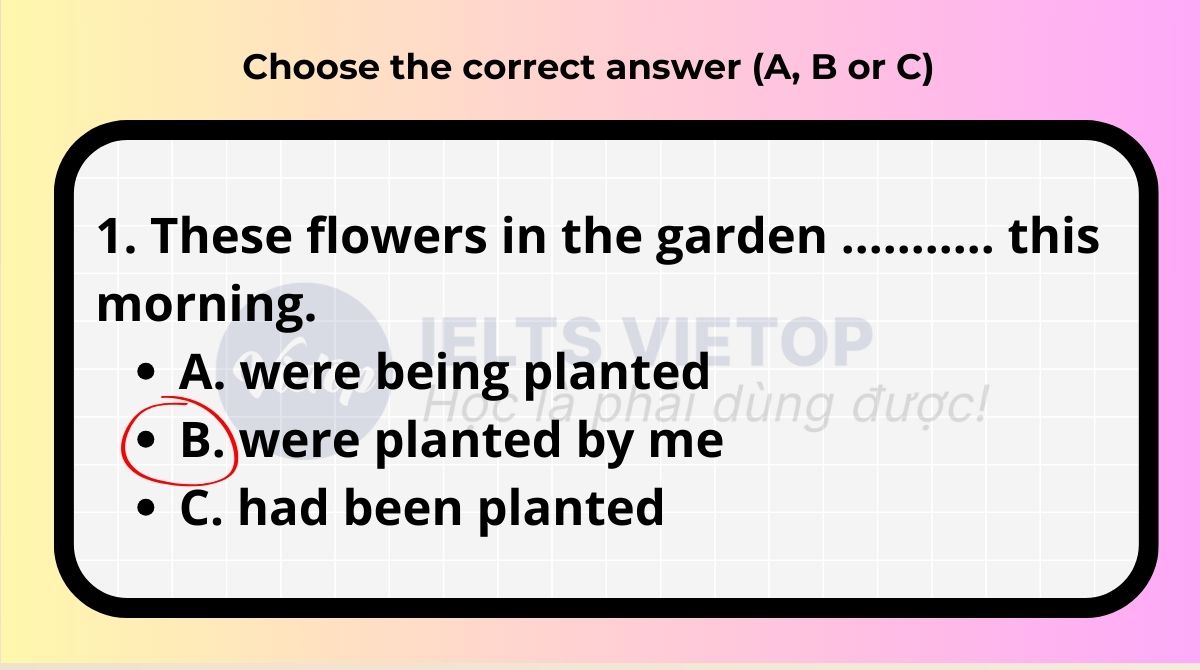 Choose the correct answer