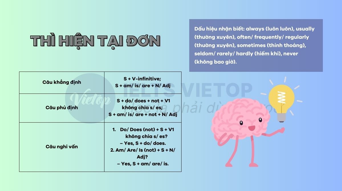 Lý thuyết thì hiện tại đơn lớp 4