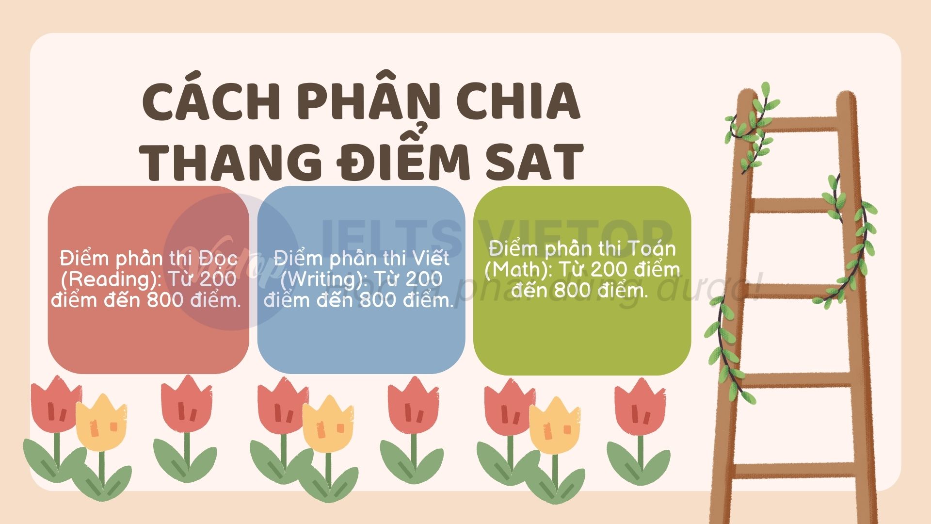 Thang điểm SAT được phân chia như thế nào? 