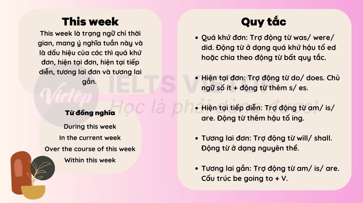 Tổng hợp kiến thức về this week