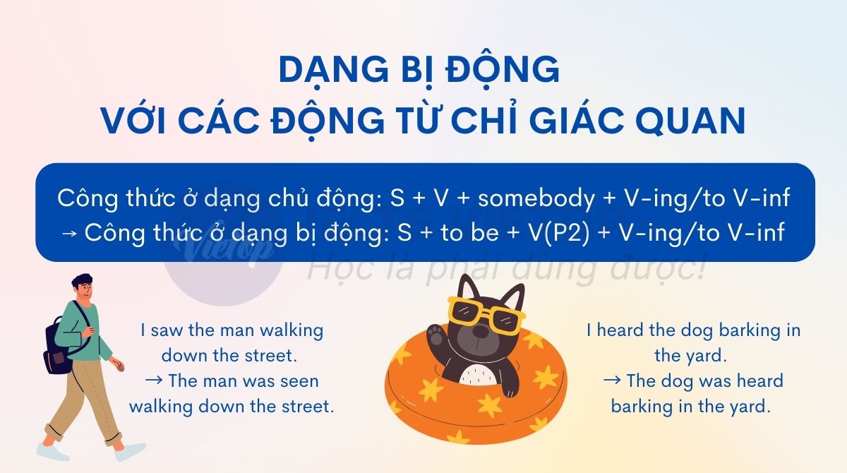 Bị động với các động từ chỉ giác quan