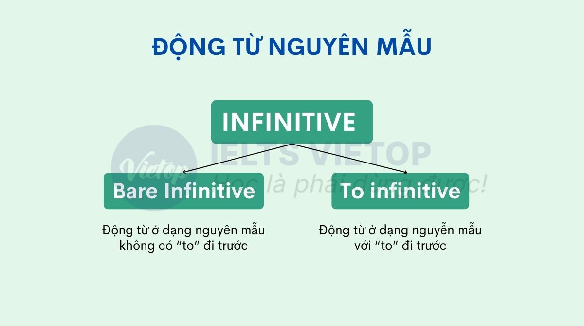 Các dạng động từ nguyên mẫu