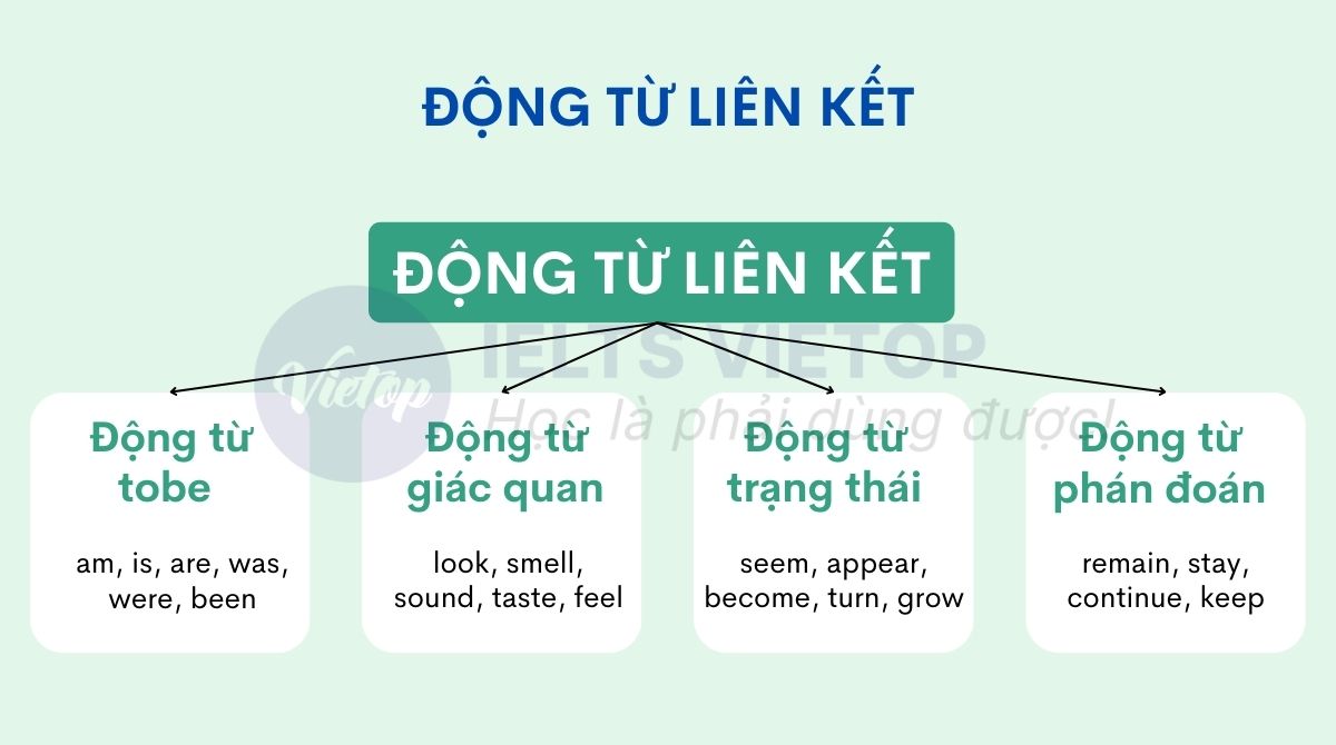 Các động từ liên kết