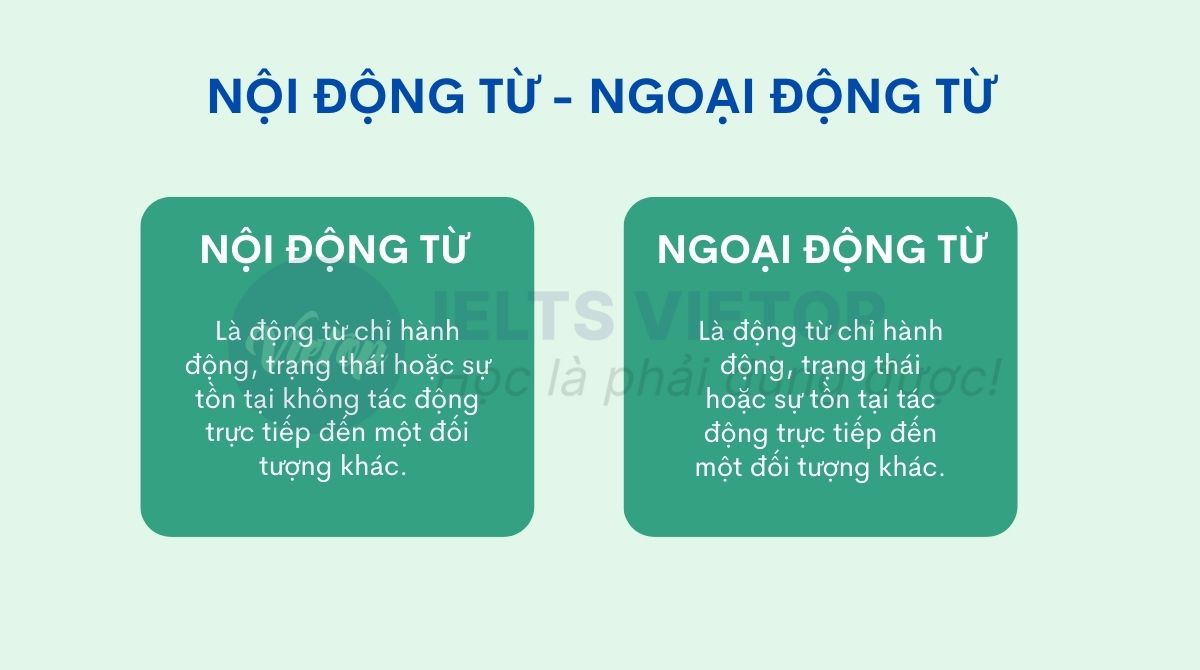 Nội động từ - Ngoại động từ