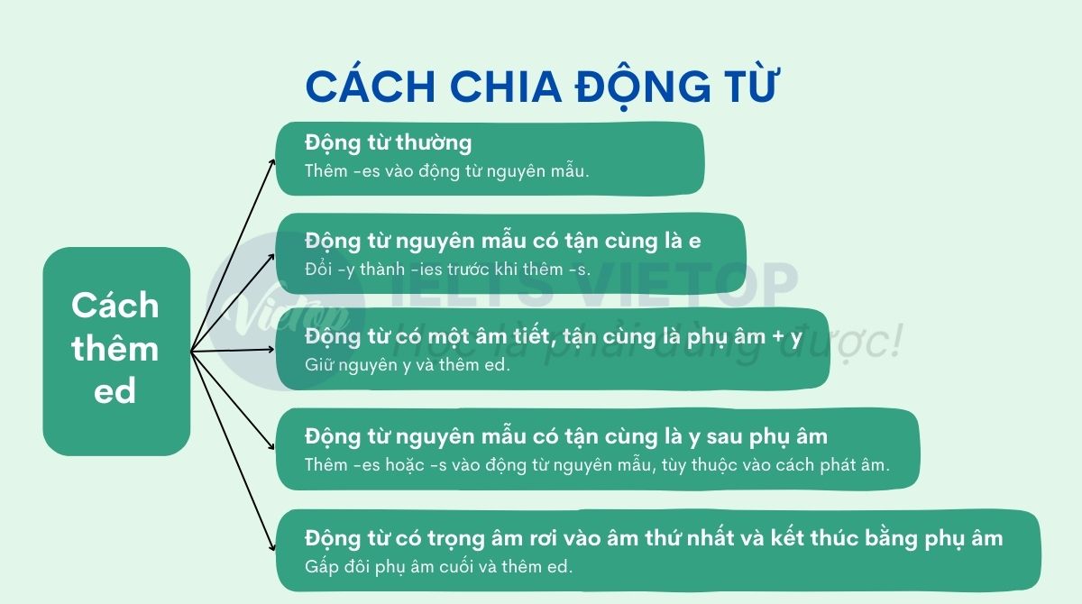 Cách chia động từ ed