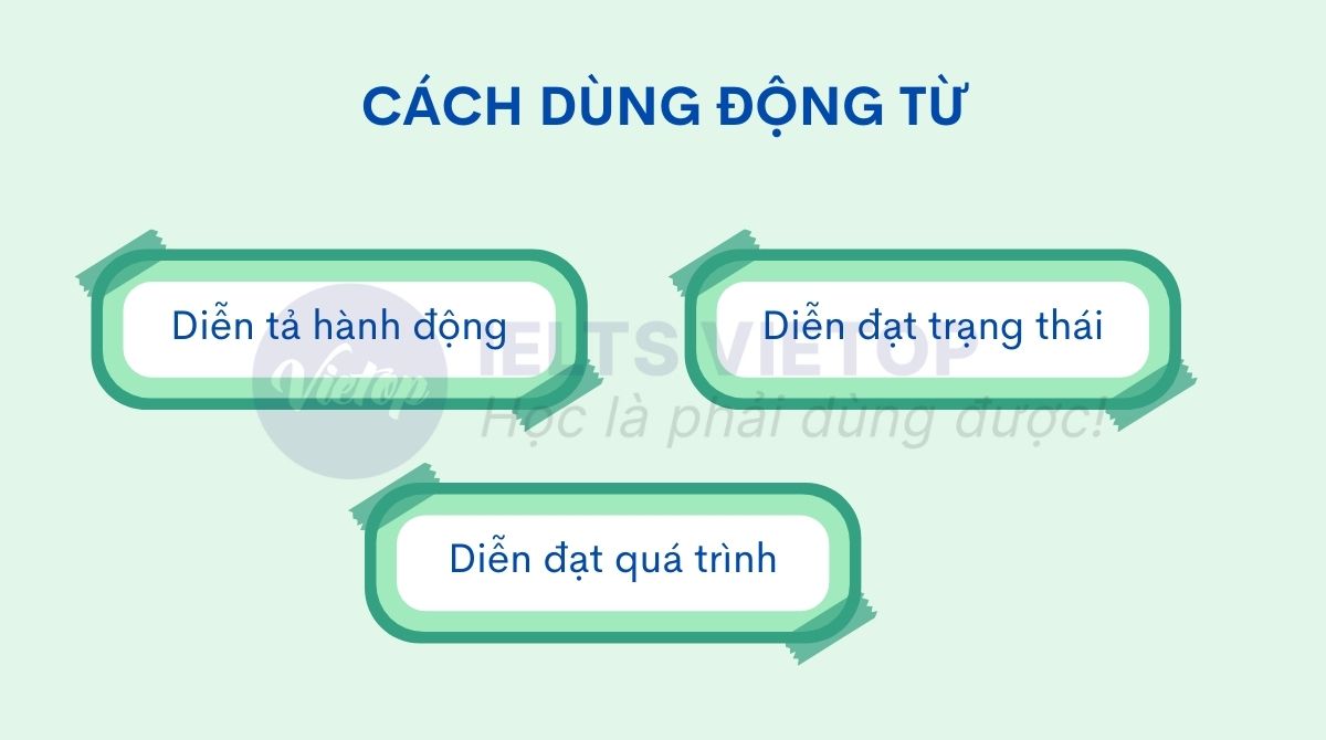 Cách dùng các động từ trong câu