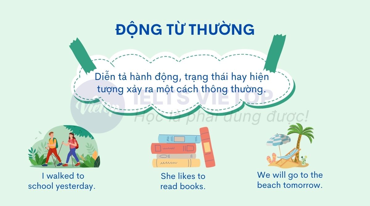 Động từ thường