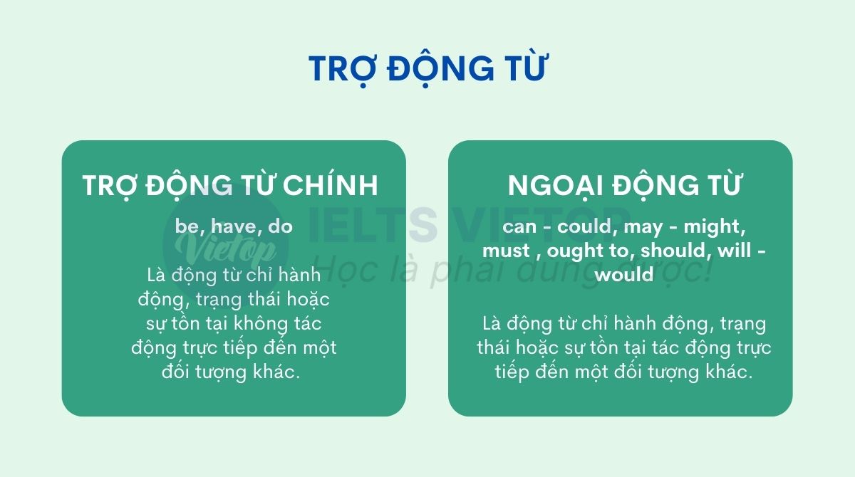 Trợ động từ