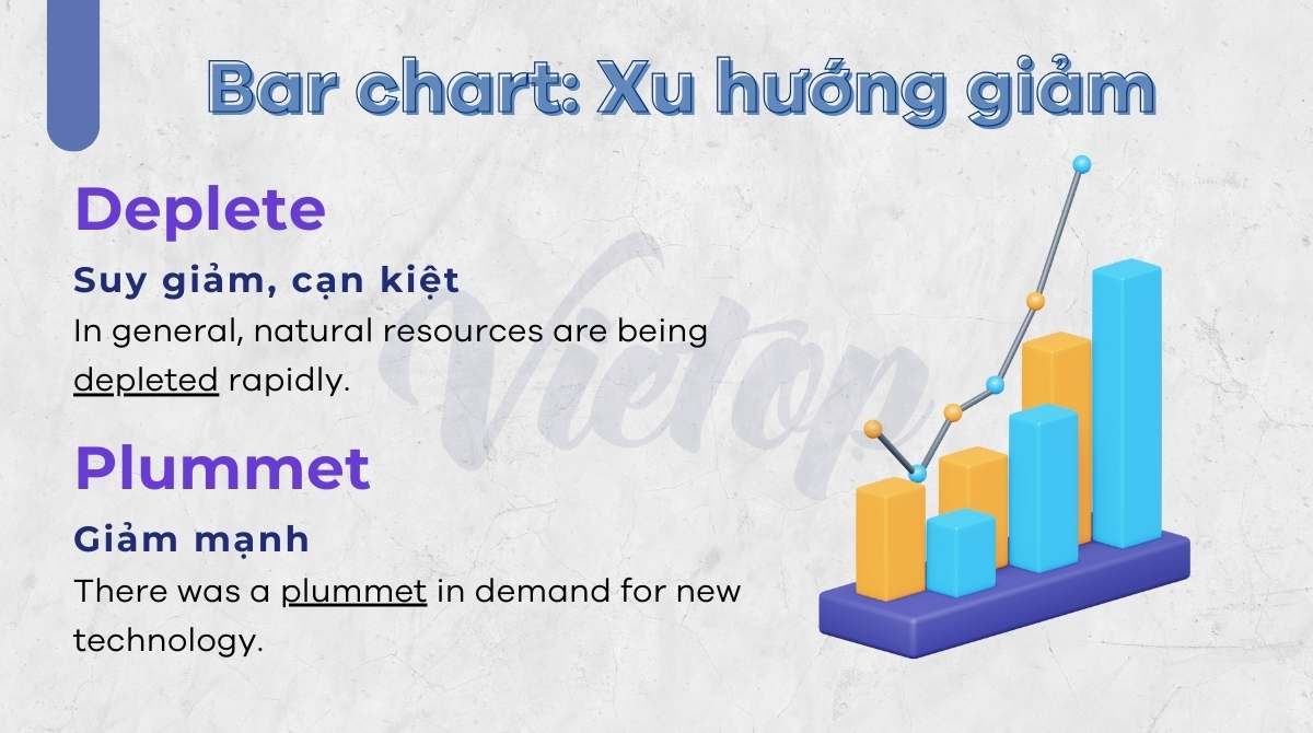 Từ vựng Bart chart